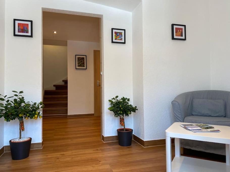Preiswertes Stilvolles Zimmer Im Privaten Haus Mit Grossem Schoenem Modernem Gemeinschaft Badenzimmer Lorrach Ngoại thất bức ảnh